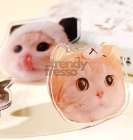 [트렌디프레소협력사]데이슬롯 아크릴 스마트톡 거치대 고양이스마트톡 스마트그립