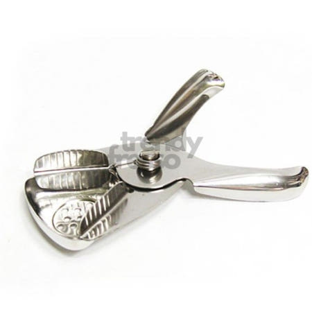 [트렌디프레소협력사]데이슬롯 스텐 레몬스퀴저 자몽 과즙 오렌지