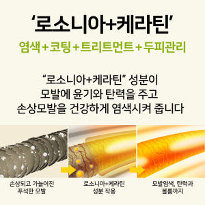 천연 헤나 염색약 새치 가루 흰머리 새치커버 솔직 후기 | 피부 타입별 분석 - 상품 이미지 4