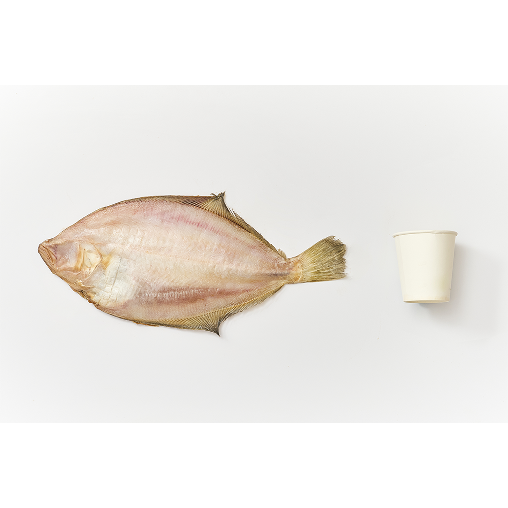 [전국식탁] 가자미 대 180~210g 프리미엄 반건조 생선 1팩 포장 냉동보관 - 상세 이미지 5