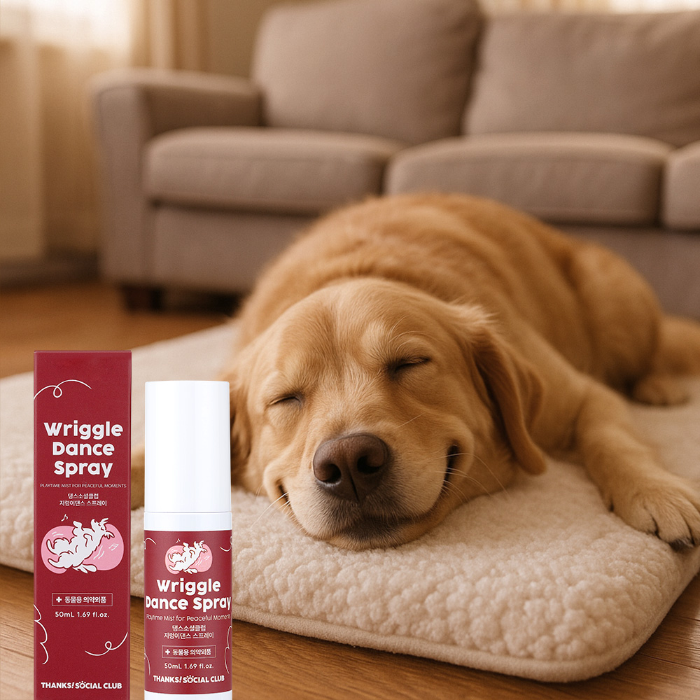 지렁이댄스 스프레이 강아지 분리불안 훈련 노즈워크 스트레스해소 강아지운동 50ml, 1개