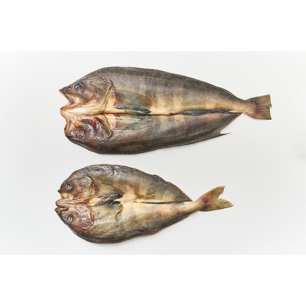 [전국식탁] 임연수 대 330~450g 프리미엄 반건조 생선 1팩 포장 냉동보관 - 상세 이미지 3