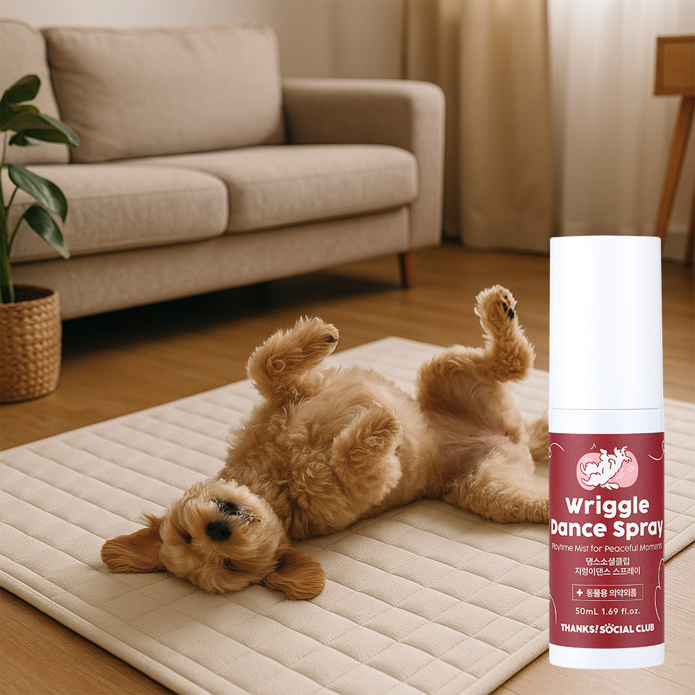지렁이댄스 스프레이 강아지 분리불안 훈련 노즈워크 스트레스해소 강아지운동 50ml, 1개
