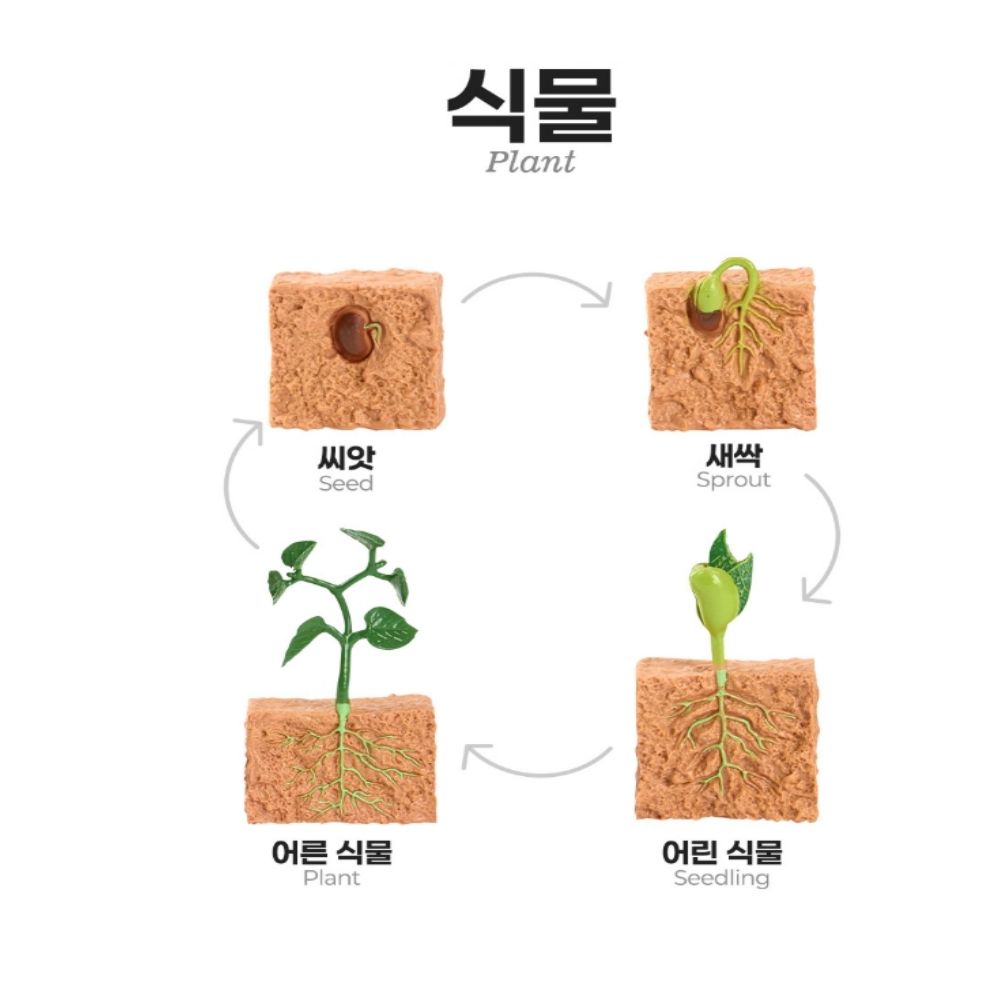 자연관찰 모형 동물 식물 성장과정 피규어 활동지 세트 - 상세 이미지 4