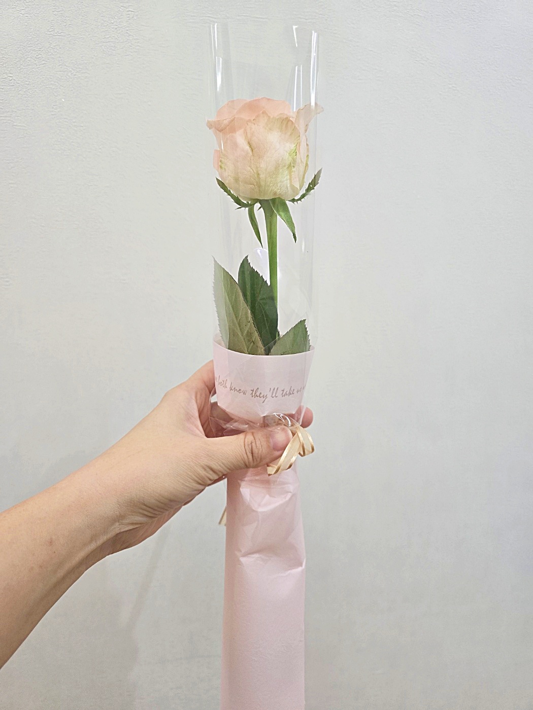 장미 거베라 카네이션 생화 한송이 꽃다발 어버이날 꽃한송이 로즈 생화택배 이미지 8