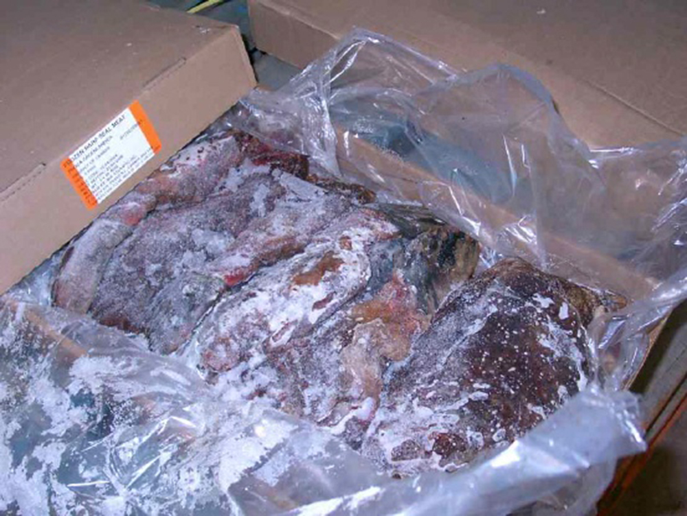 물개 물범육 물범즙 10kg 운동선수 수험생 보양식 - 상품 이미지