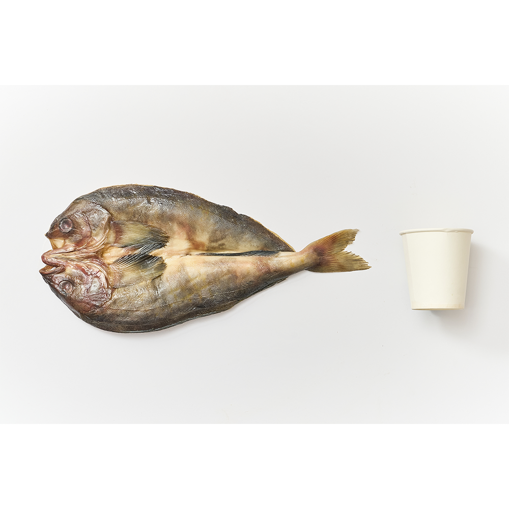 [전국식탁] 임연수 대 330~450g 프리미엄 반건조 생선 1팩 포장 냉동보관 - 상세 이미지 4
