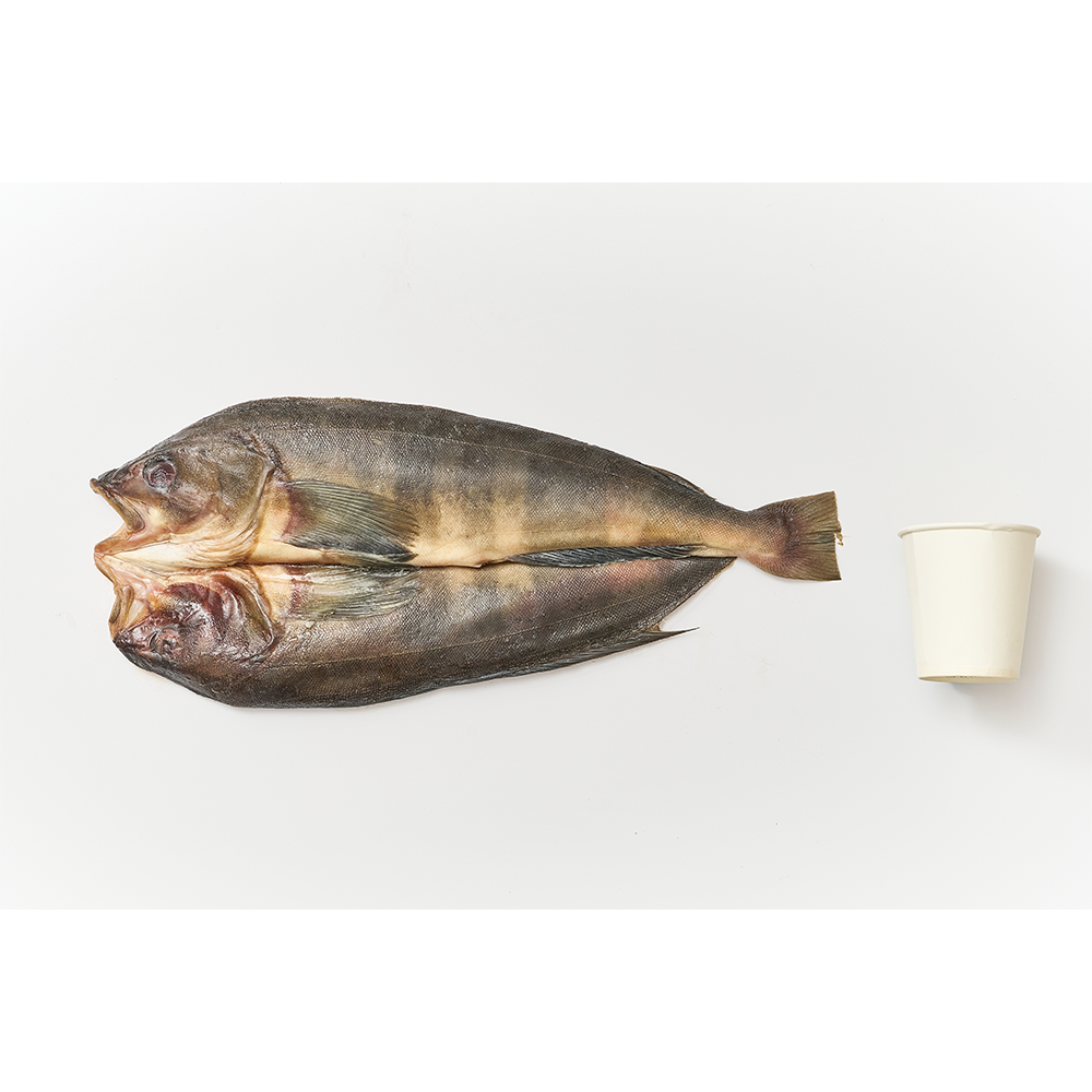 [전국식탁] 임연수 대 330~450g 프리미엄 반건조 생선 1팩 포장 냉동보관 - 상세 이미지 2