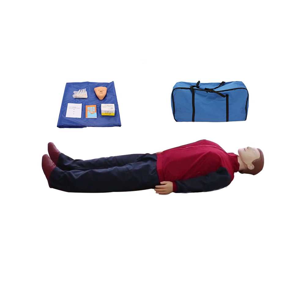 CPR 훈련 마네킹 심폐소생술 실습 교육 응급처치용 CPR110 전신 - 상세 이미지 2