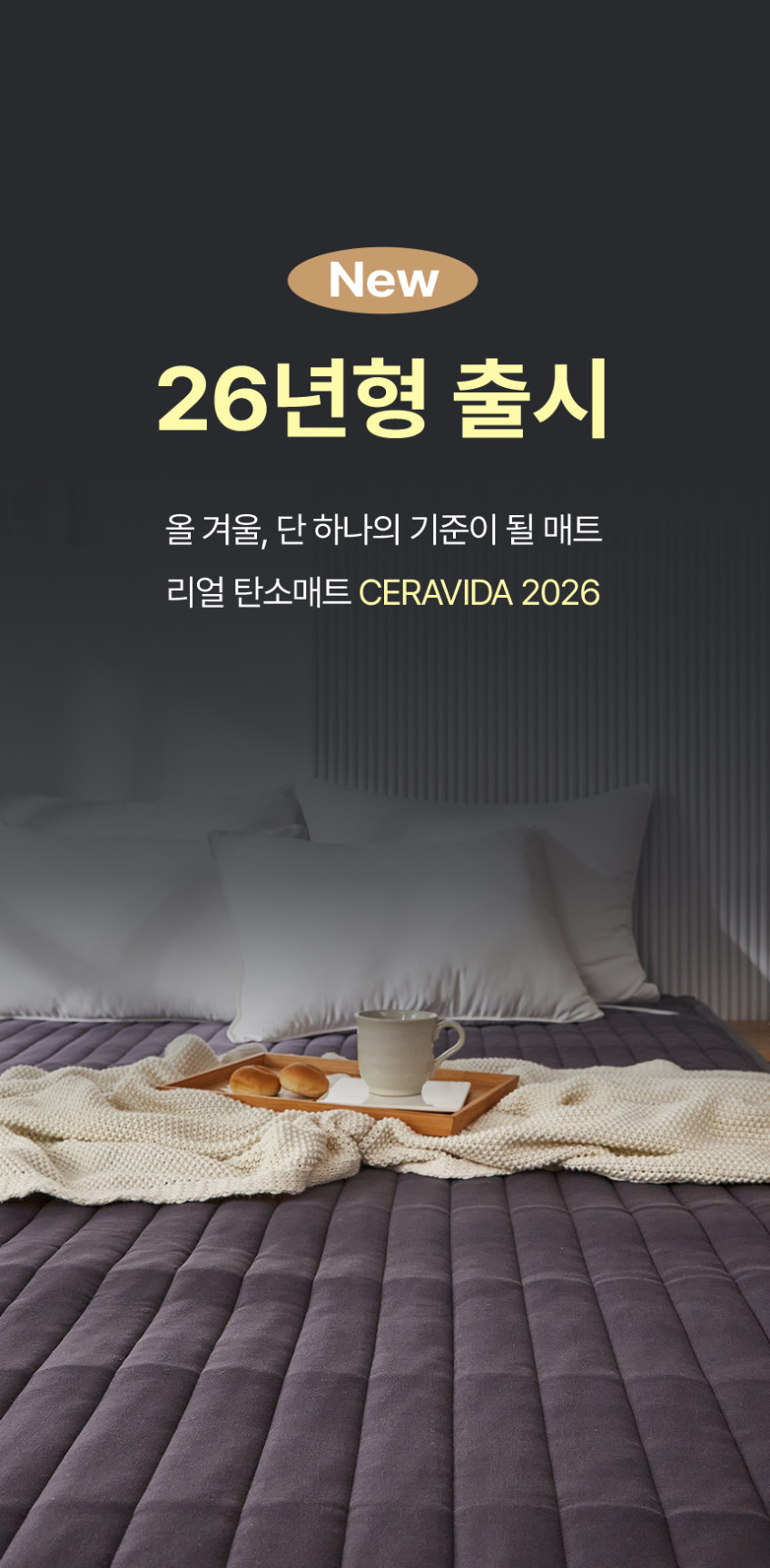 리얼 탄소매트 전기매트 그래핀 카본 전자파없는 전기요 온열매트 1인용 슬림 슈퍼싱글 판매처 상세 정보 이미지 3