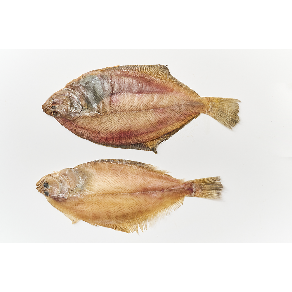 [전국식탁] 가자미 대 180~210g 프리미엄 반건조 생선 1팩 포장 냉동보관 - 상세 이미지 3