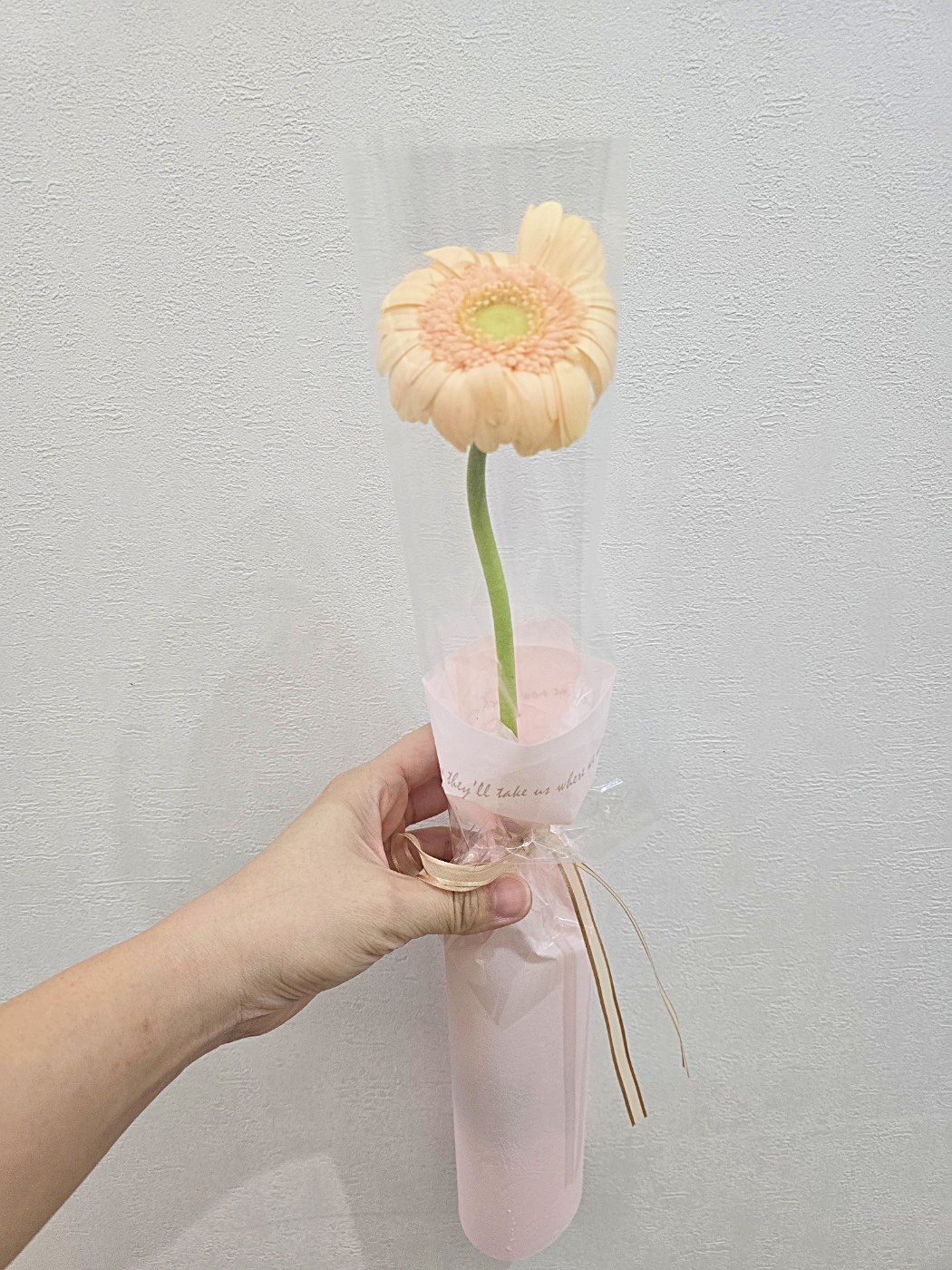 장미 거베라 카네이션 생화 한송이 꽃다발 어버이날 꽃한송이 로즈 생화택배 이미지 6