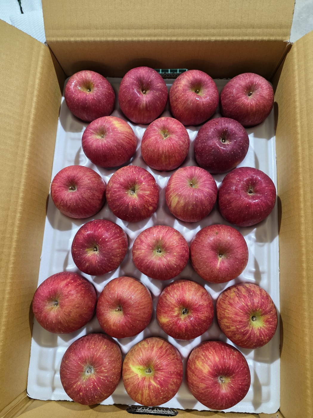 사과 부사 문경 못난이 가정용 흠과 선물용 3kg 5kg - 상세 이미지 3
