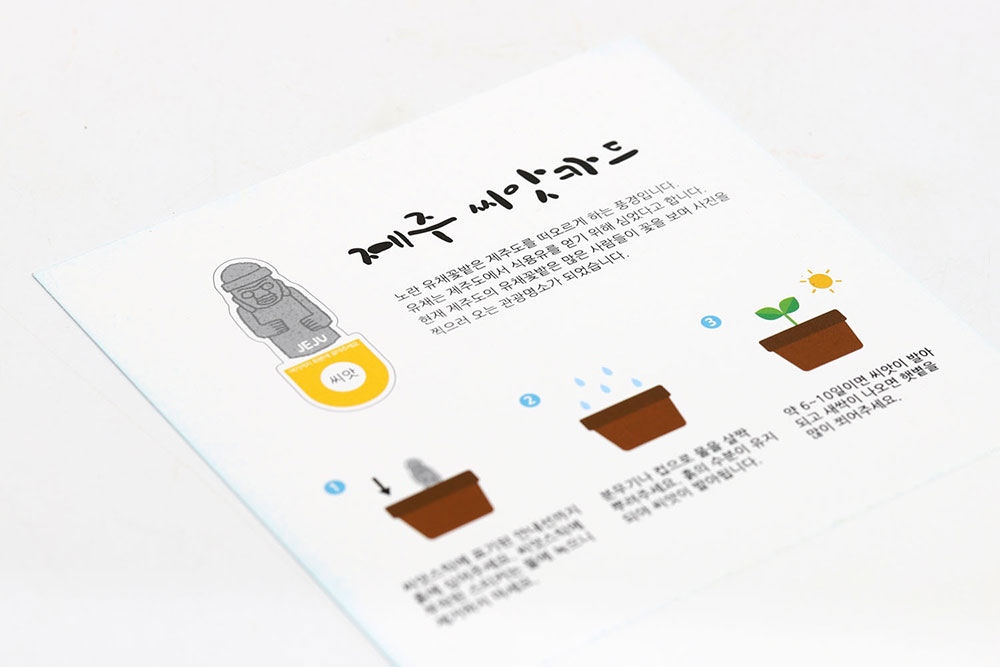 제주 하르방 레이어 씨앗카드 식물 키우기 키트 씨앗키트 선물 자연학습 틔움세상 이미지 6
