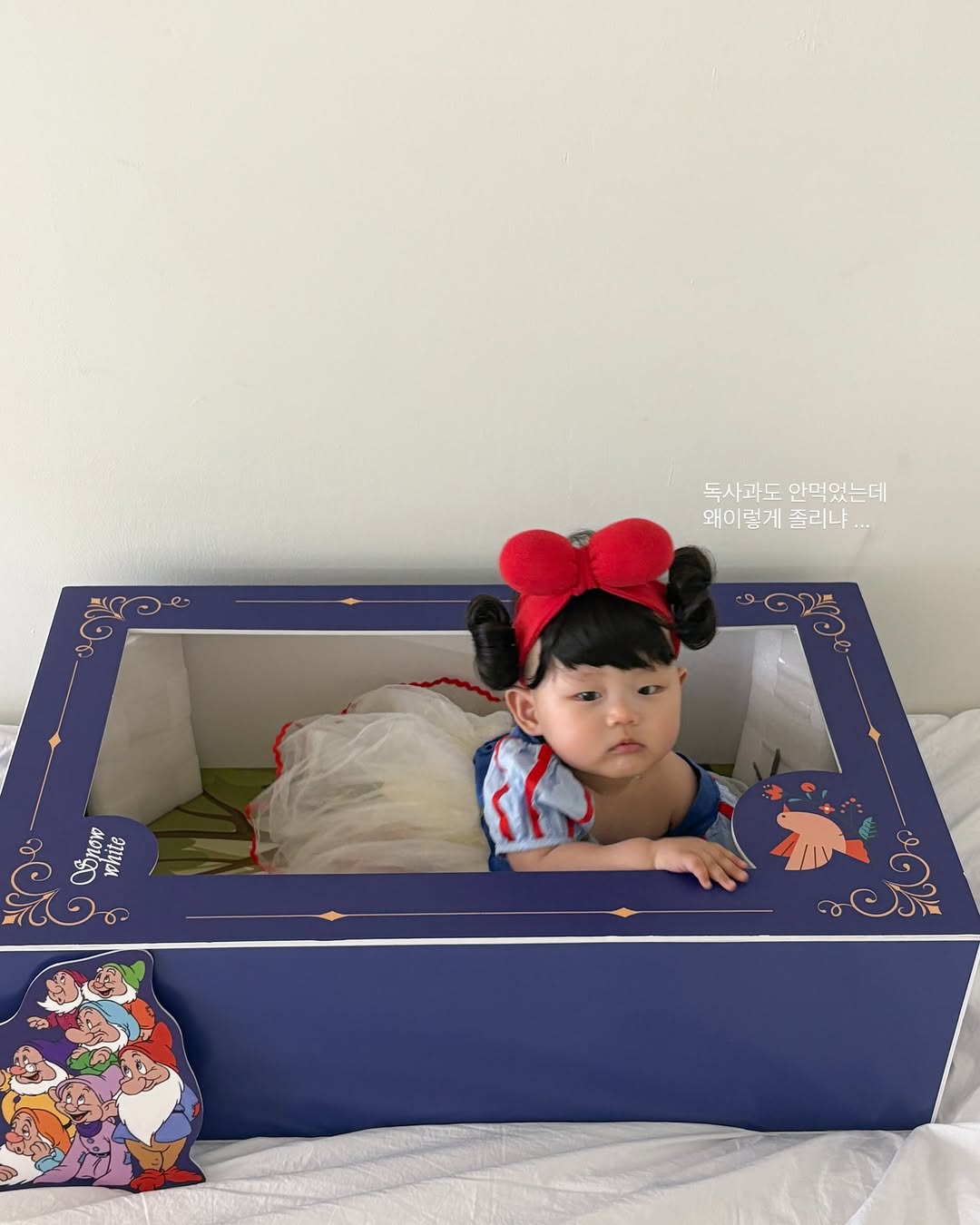 툴리툴리 백설공주 아기 셀프 촬영 드레스 대여 50일 백일 100일 돌상 소품 컨셉 의상 상품 이미지