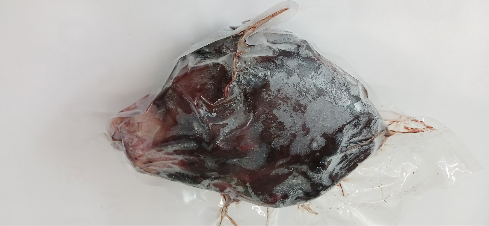 물개 물범육 물범즙 지느러미 10kg 운동선수 수험생 보양식 - 상품 이미지