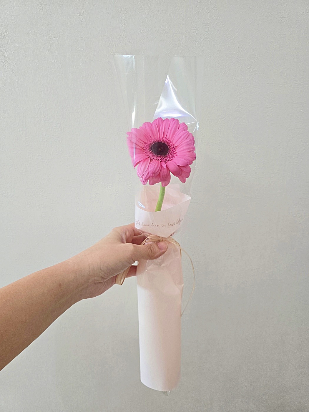장미 거베라 카네이션 생화 한송이 꽃다발 어버이날 꽃한송이 로즈 생화택배 - 상세 이미지 5