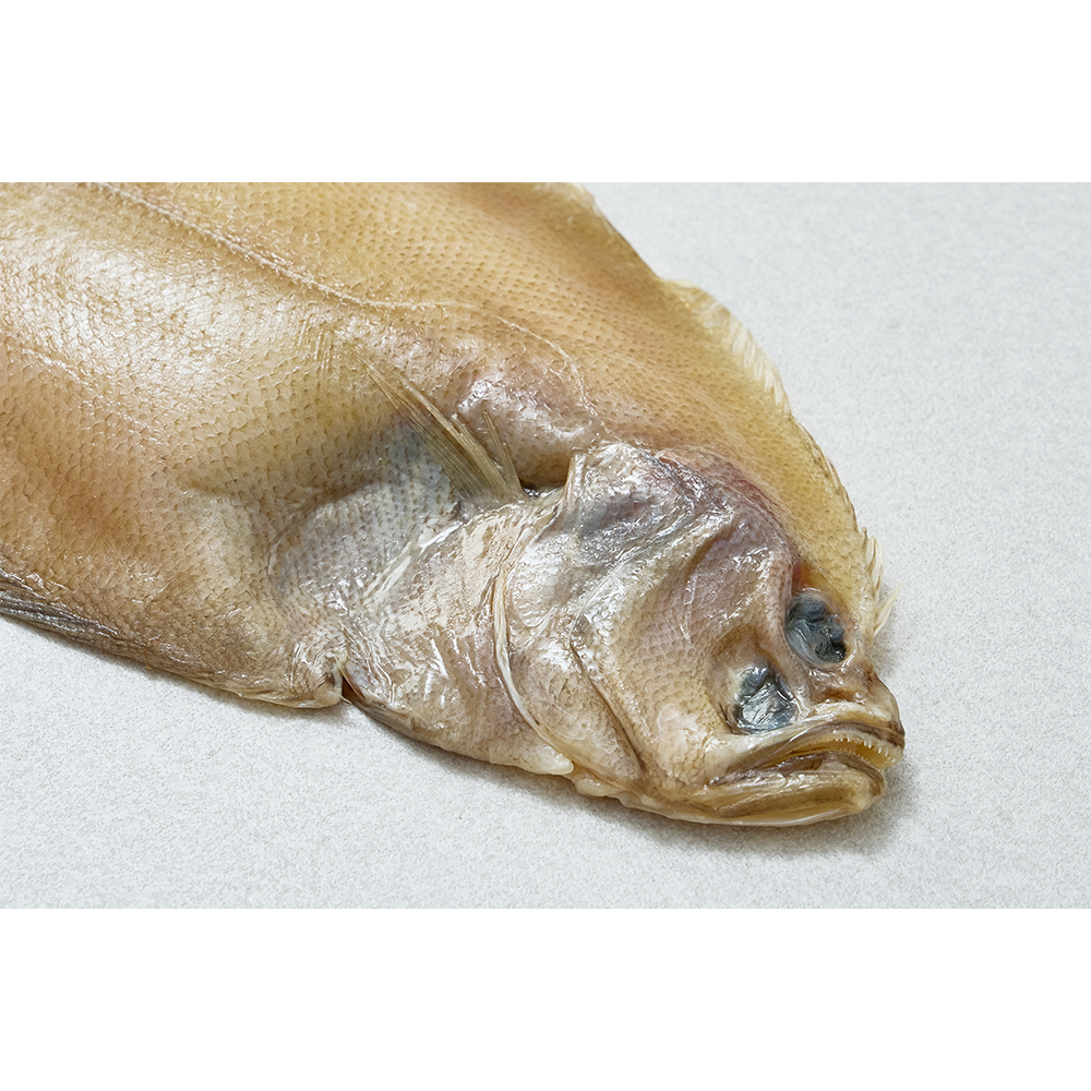 [전국식탁] 가자미 대 180~210g 프리미엄 반건조 생선 1팩 포장 냉동보관 이미지 7