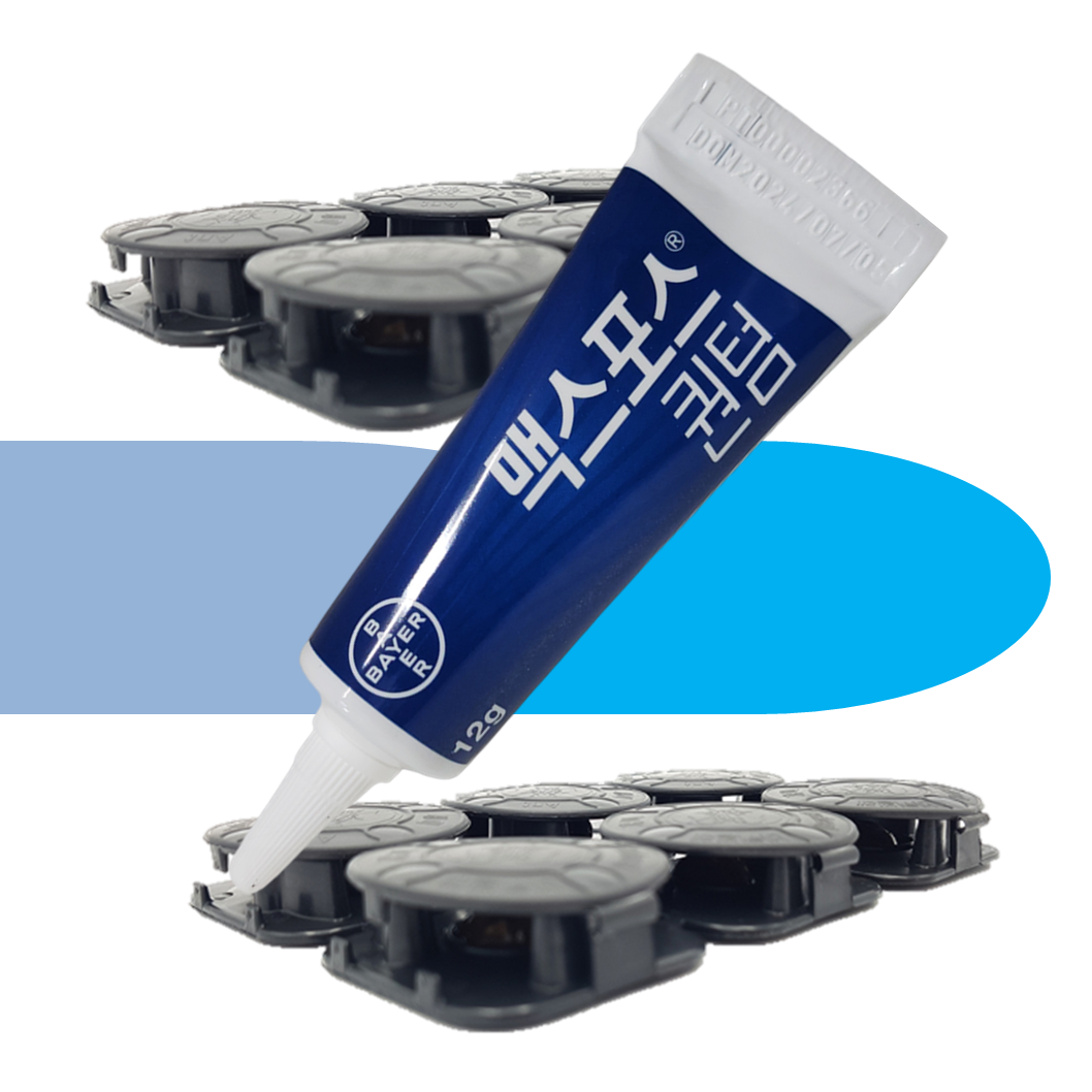 약국 맥스포스 퀀텀 개미약 12g+먹이캡 10개 - 메인 이미지