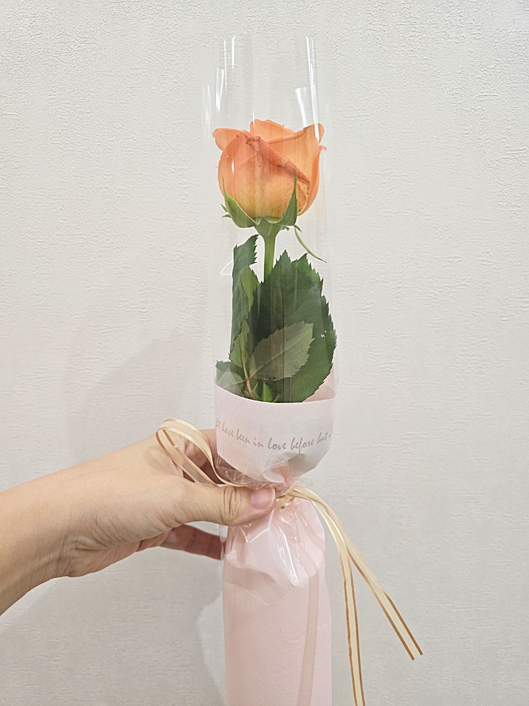 장미 거베라 카네이션 생화 한송이 꽃다발 어버이날 꽃한송이 로즈 생화택배 이미지 7