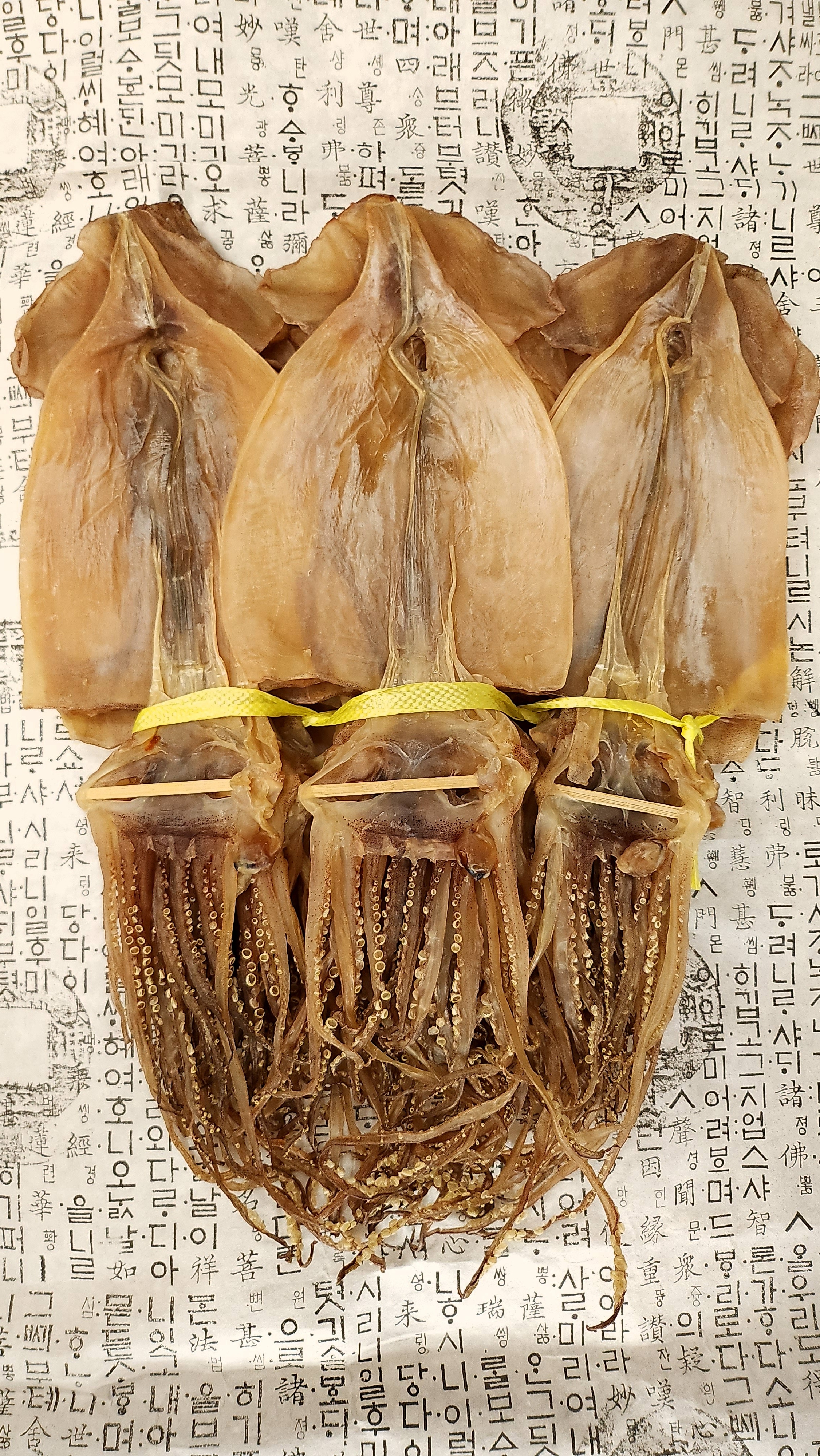 국내 포항 구룡포 건조 마른오징어 (중량별) 60g, 3개 - 상세 이미지 2