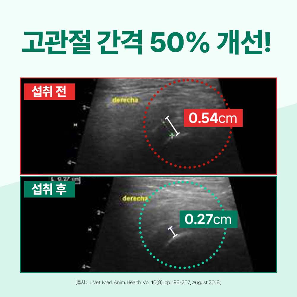 닥터바이 강아지 관절 영양제 슬개골 탈구 무릎 고관절 케어 절뚝거림 힙앤조인트스위프트, 120캡슐, 1개
