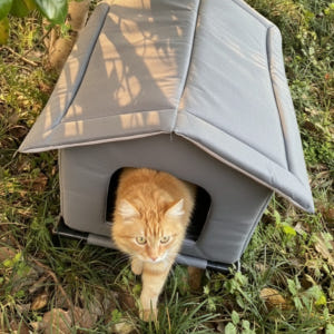 (2세대) 길고양이겨울집 야외 실외 고양이 겨울집 숨숨 길냥이급식소 일반... 솔직 후기 | 실제 사용자 리뷰 총정리 - 상품 이미지 3