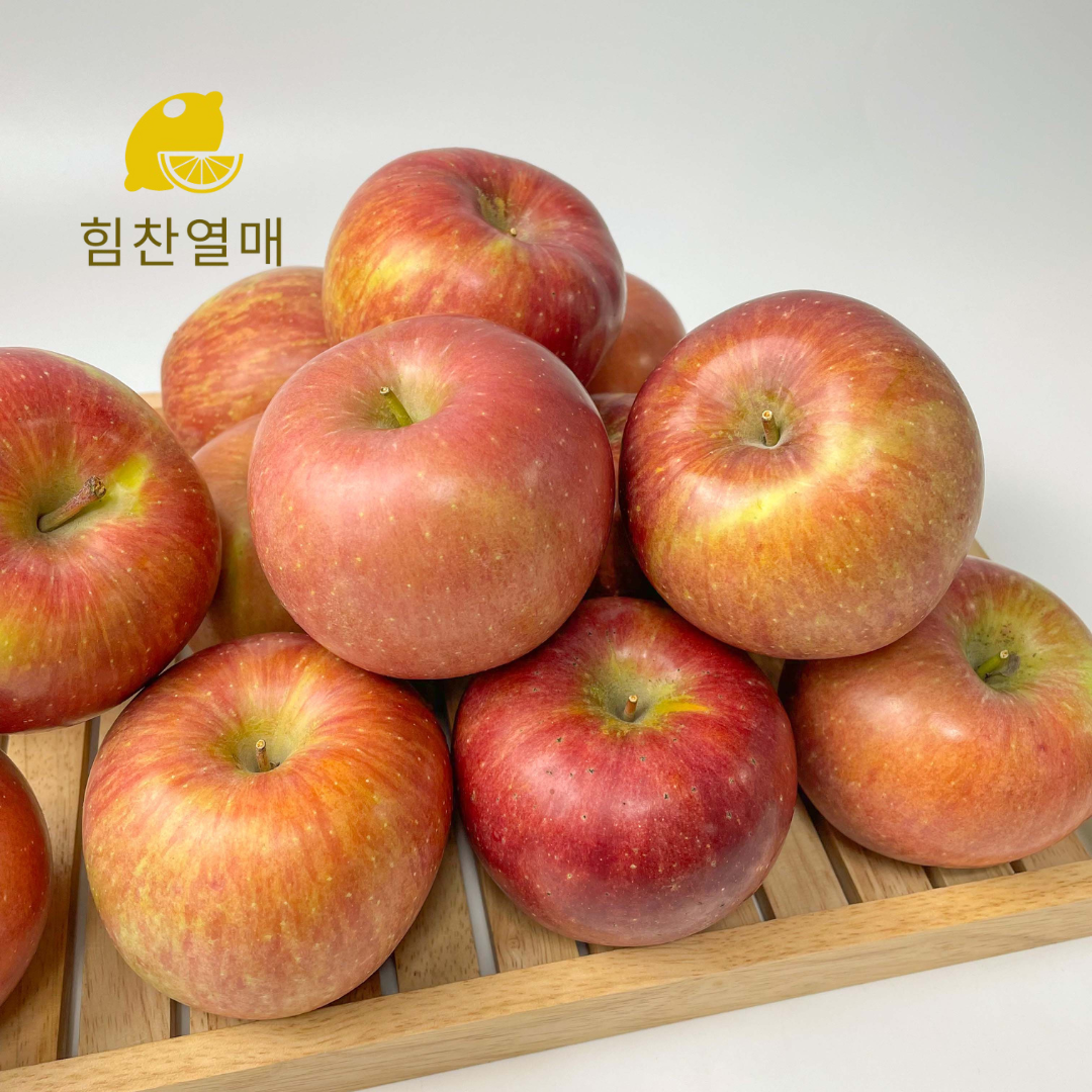 부사 못난이 꿀사과 5kg 가정용 사과 - 메인 이미지