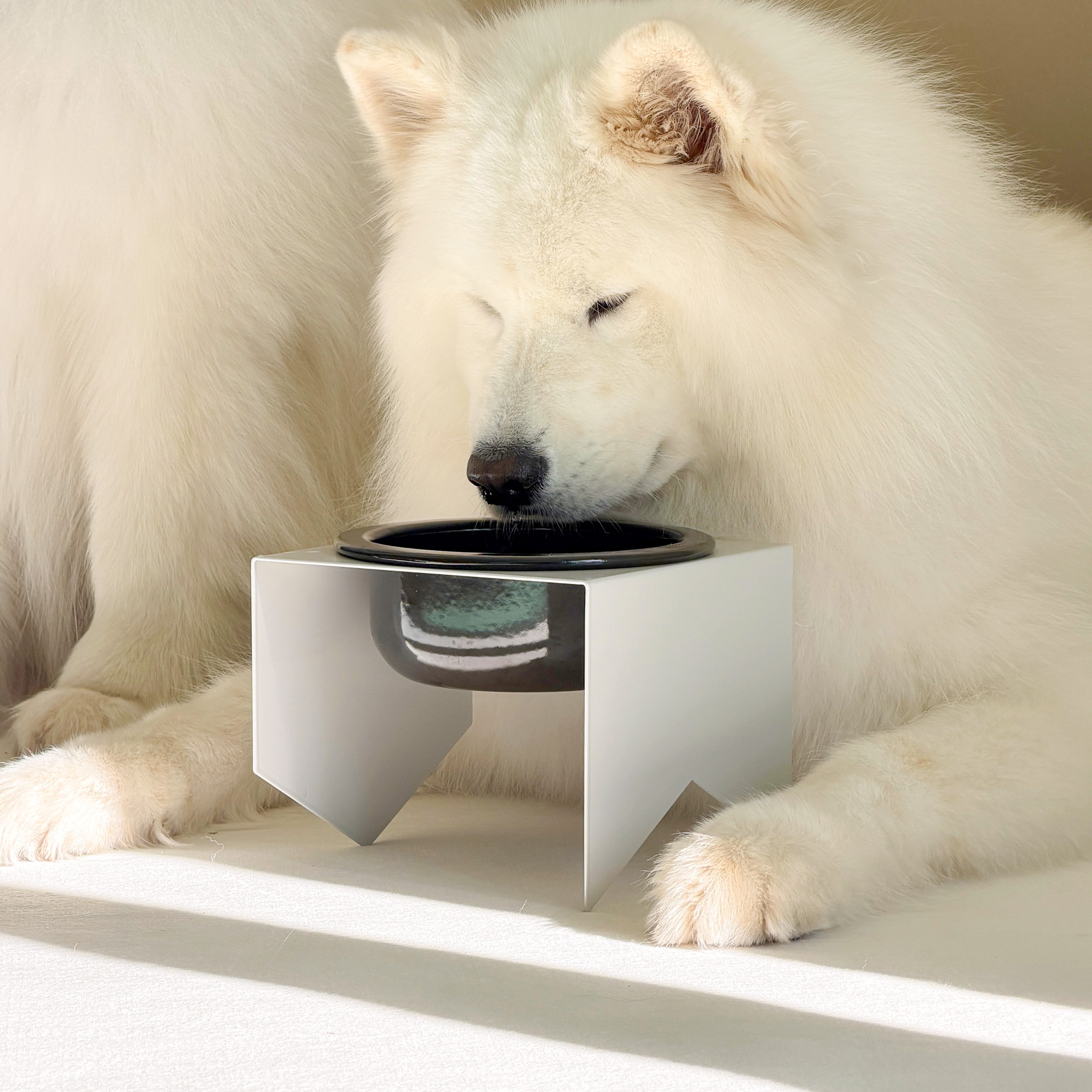 강아지 밥그릇 강철 스탠드 국산 식기 받침대 반려동물 고양이 물그릇 거치... 솔직 후기 | 실제 사용자 리뷰 총정리 - 대표 이미지