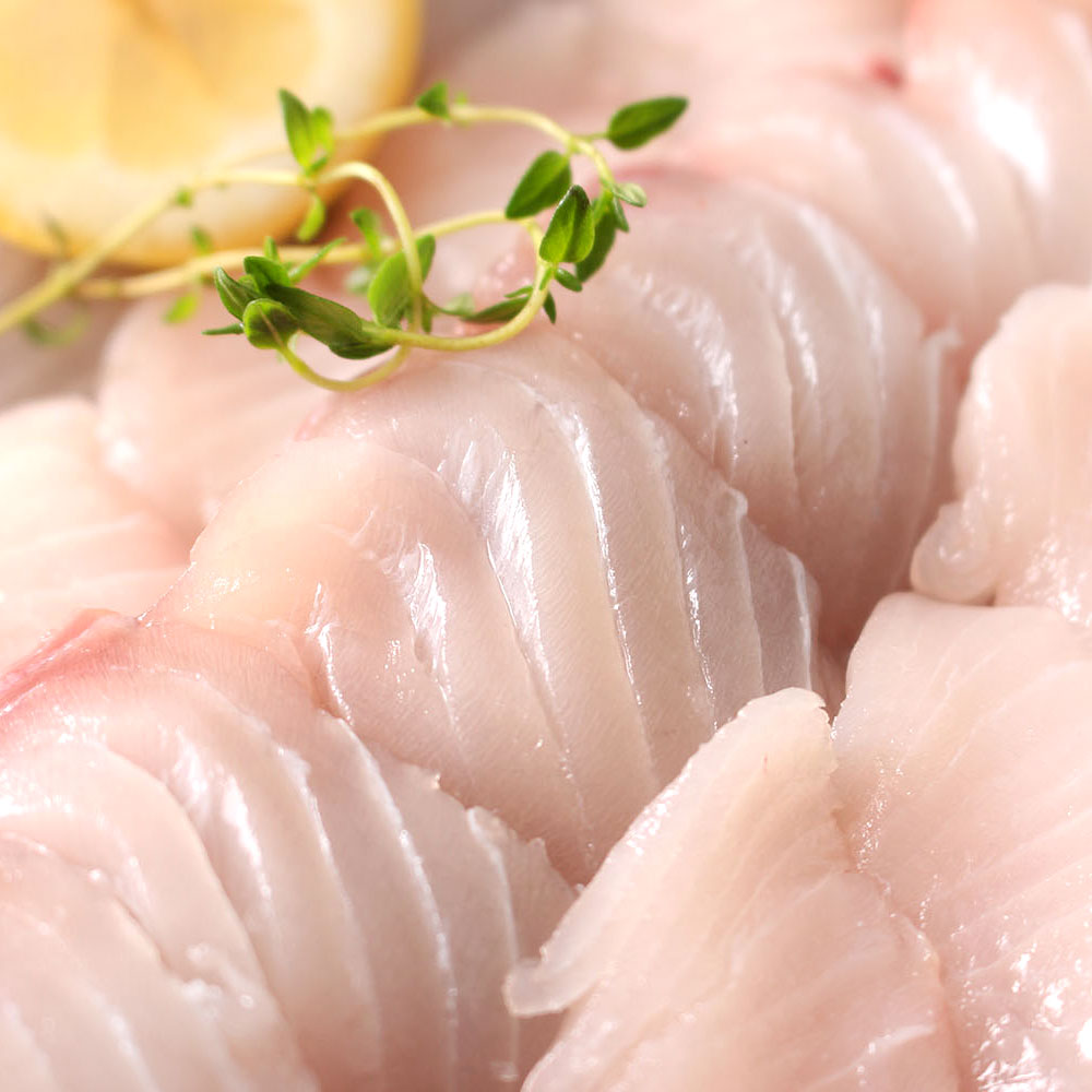자연산 고흥 나로도 대삼치 삼치회 1.5kg 6인분 삼치 필렛 택배 - 상세 이미지 5