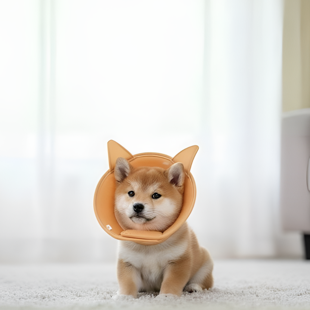 드림베이스 강아지 고양이 넥카라 경량 3D메쉬 수술 상처보호 발사탕 포근시바, M 이미지 6