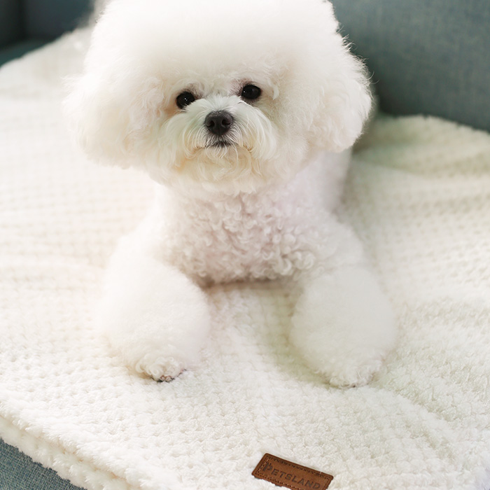 강아지이불  강아지담요 포그니 M - 상품 이미지