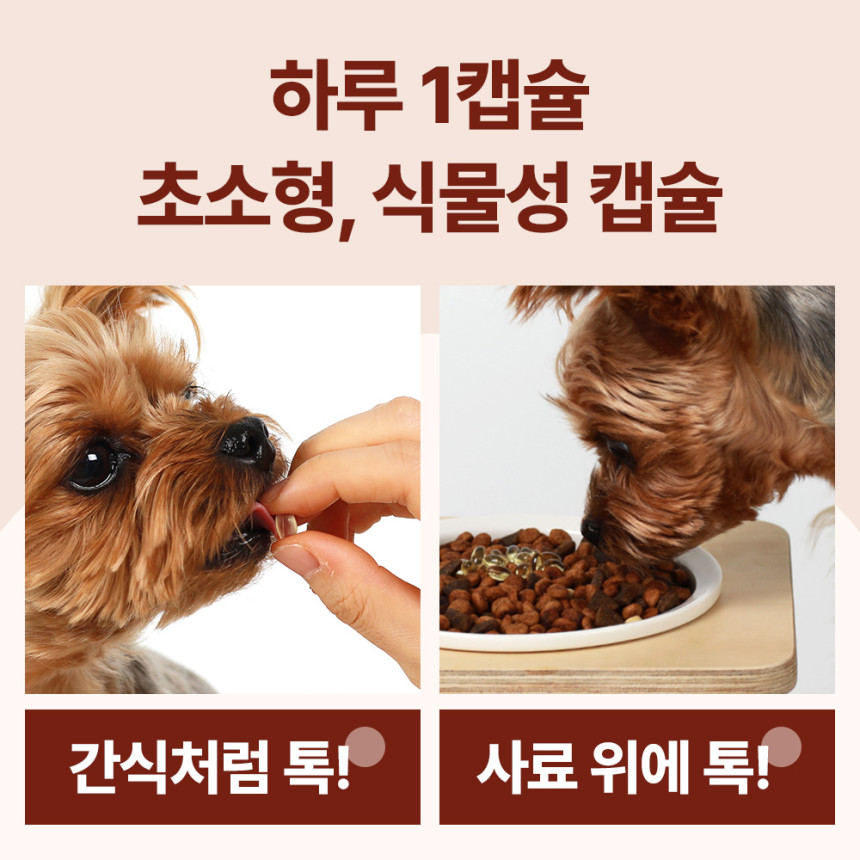 닥터바이 강아지 오메가3 피부 관절 심장 영양제 150캡슐, 1개 사진 5
