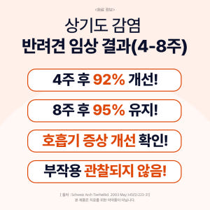 닥터바이 강아지 기관지 영양제 호흡기 면역 기침 콧물 켁켁거림 이뮤가드,... 솔직 후기 | 실제 사용자 리뷰 총정리 - 상품 이미지 4