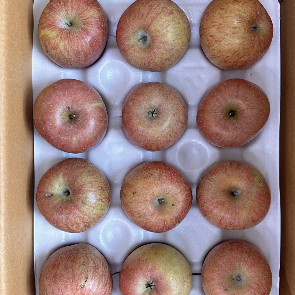 경북 부사 사과 달달하고 아삭한 실속형 가정용 제철사과 소과 1.5kg 이미지 8