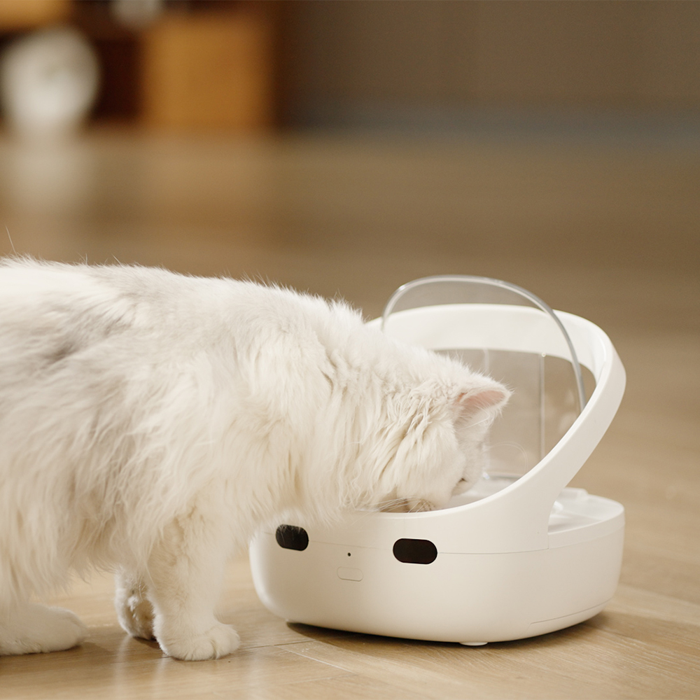 페페 1:1 매칭 슈어피드식 RFID 자동급식기 강아지 고양이 다둥이 다묘가정 - 상세 이미지 4