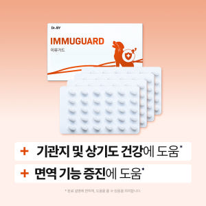 닥터바이 강아지 기관지 영양제 호흡기 면역 기침 콧물 켁켁거림 이뮤가드,... 솔직 후기 | 실제 사용자 리뷰 총정리 - 상품 이미지 2