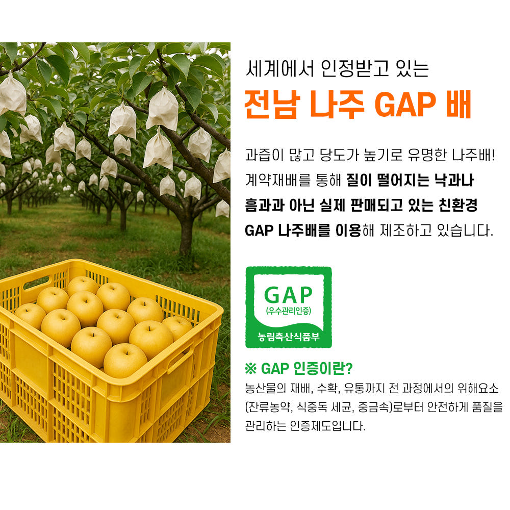 젤리 제형 상세 컷