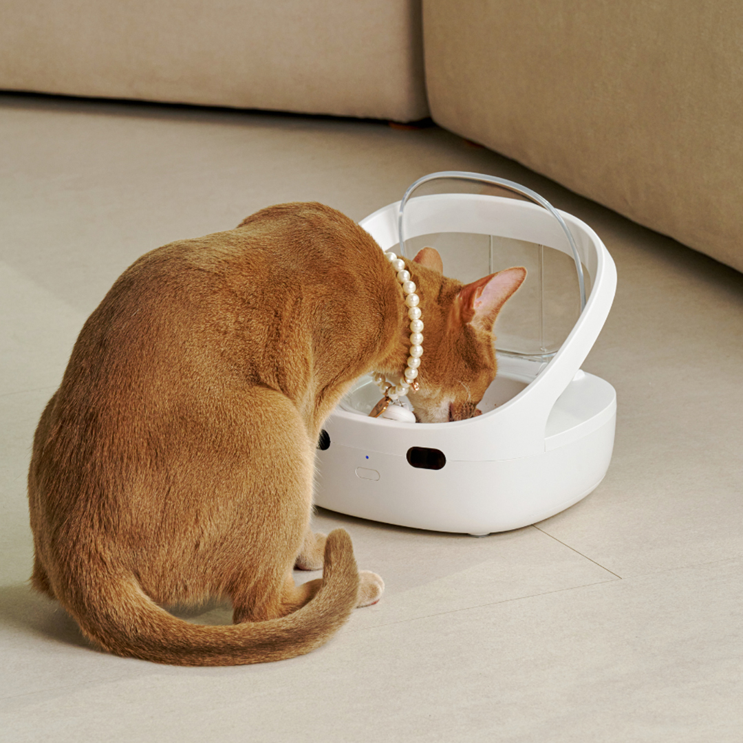 페페 1:1 매칭 슈어피드식 RFID 자동급식기 강아지 고양이 다둥이 다묘가정 - 상세 이미지 5