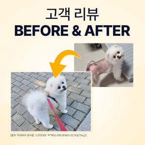닥터바이 스킨앤코트 강아지 피부 습진 건조 모질 보습 영양제 30개입, ... 솔직 후기 | 실제 사용자 리뷰 총정리 - 상품 이미지 3