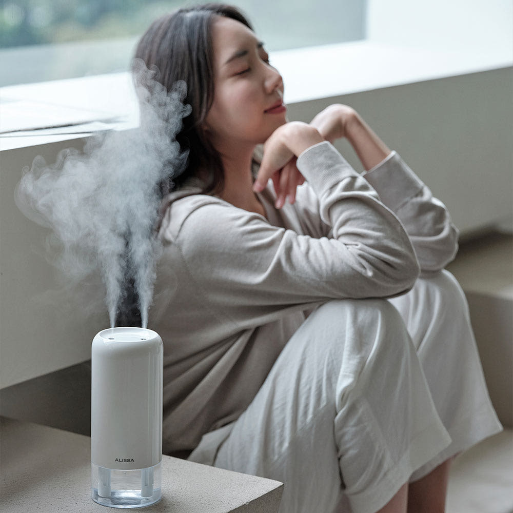알리사 가습기