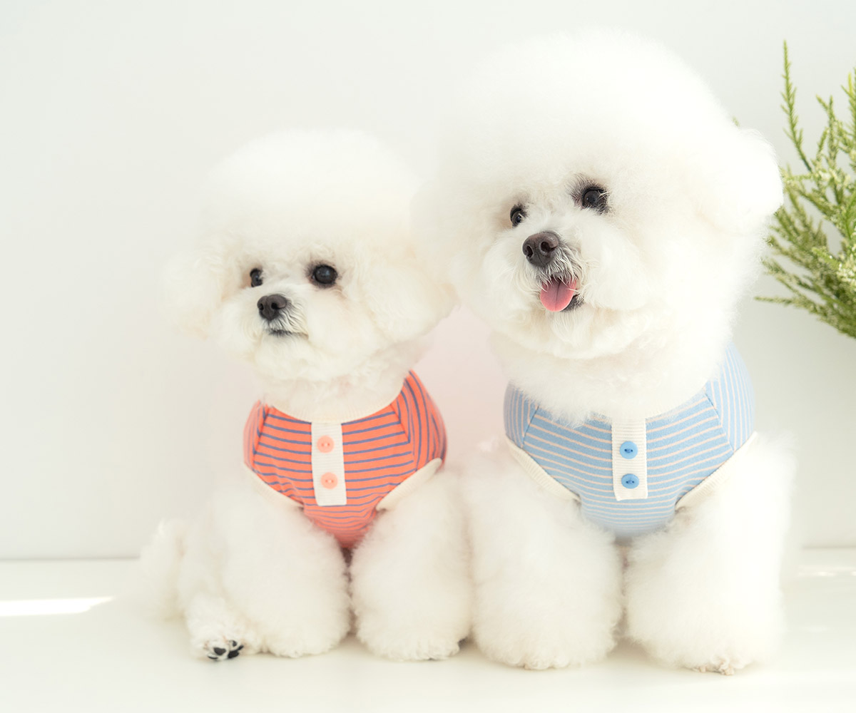 강아지 산책 봄 옷 데일리 롤리스트라이프 - 상품 이미지