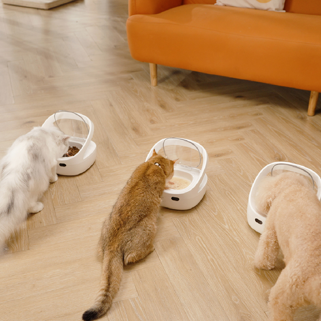 페페 1:1 매칭 슈어피드식 RFID 자동급식기 강아지 고양이 다둥이 다묘가정 - 상세 이미지 3