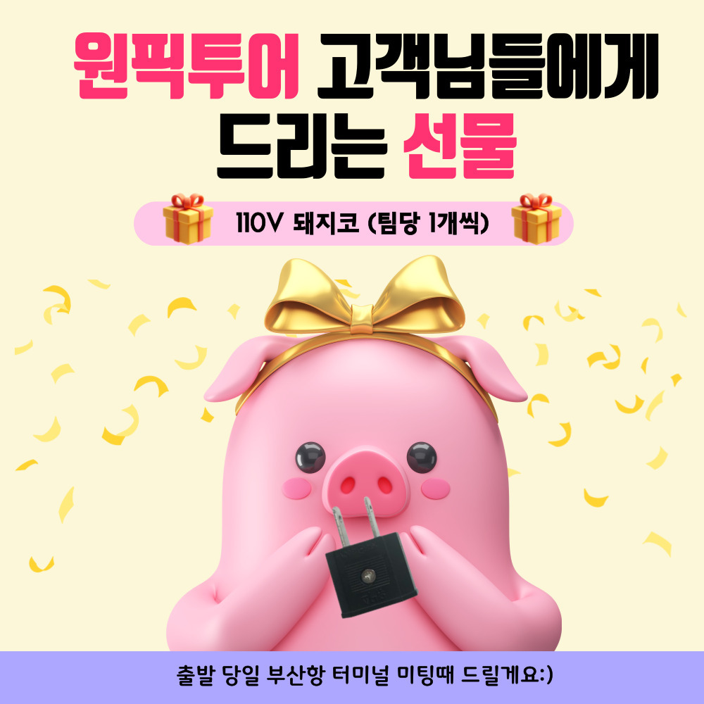 부관훼리 부산 시모노세키 배편 승선권 예약 일본 성희호 하마유호 1등실 2등실 110V제공 - 상세 이미지 2