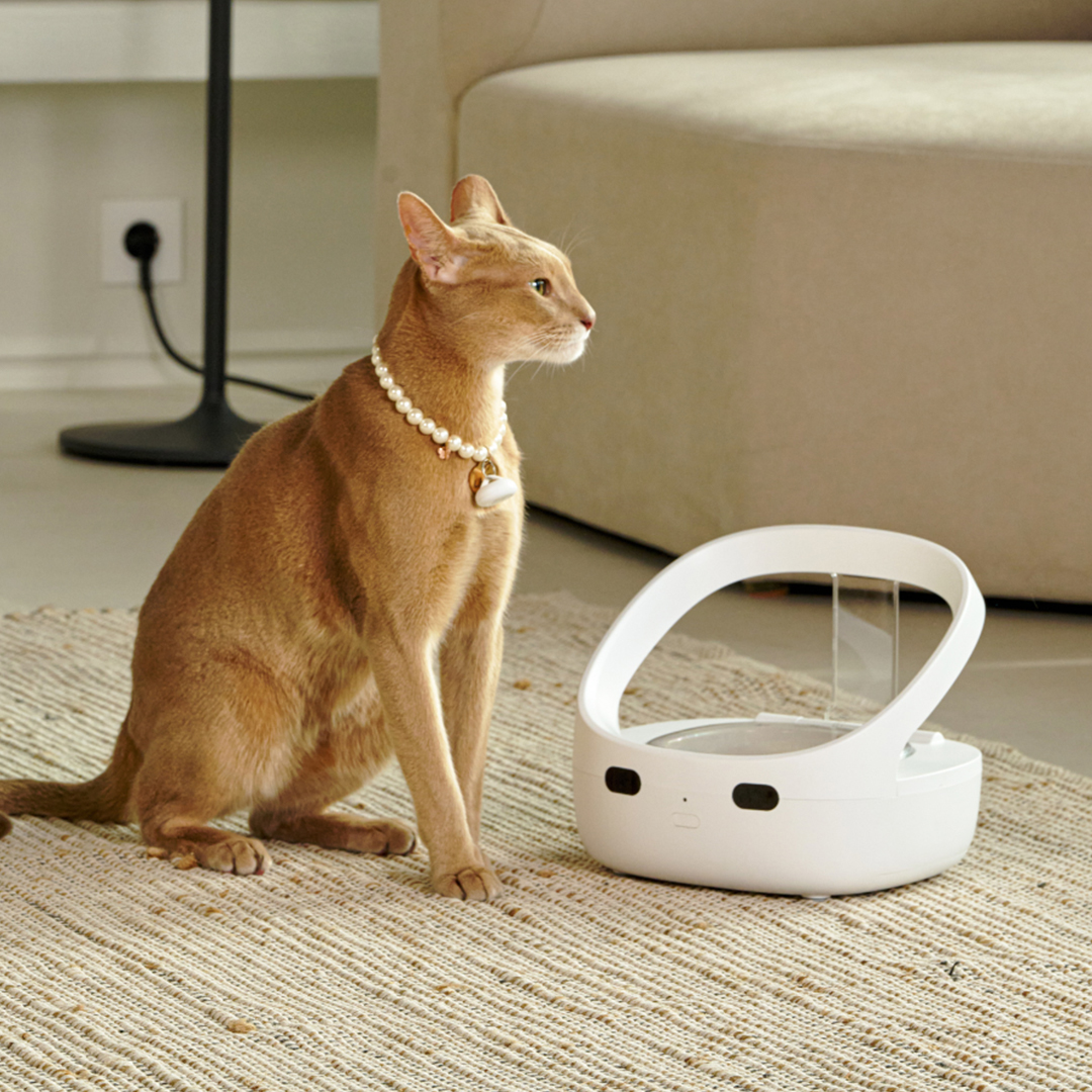 페페 1:1 매칭 슈어피드식 RFID 자동급식기 강아지 고양이 다둥이 다묘가정 - 상품 이미지