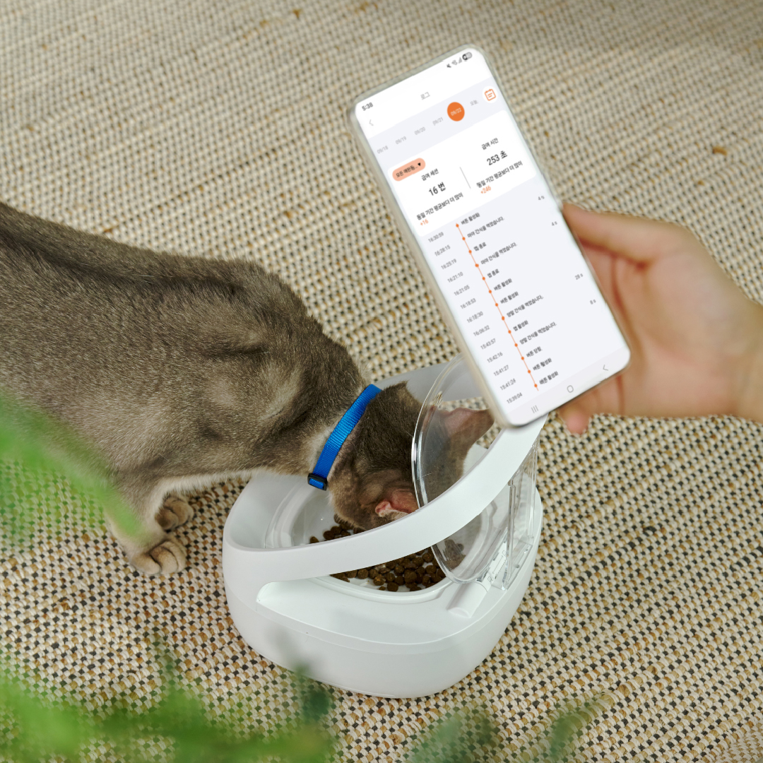 페페 1:1 매칭 슈어피드식 RFID 자동급식기 강아지 고양이 다둥이 다묘가정 - 상세 이미지 2