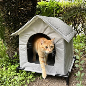 (2세대) 길고양이겨울집 야외 실외 고양이 겨울집 숨숨 길냥이급식소 일반... 솔직 후기 | 실제 사용자 리뷰 총정리 - 상품 이미지 1