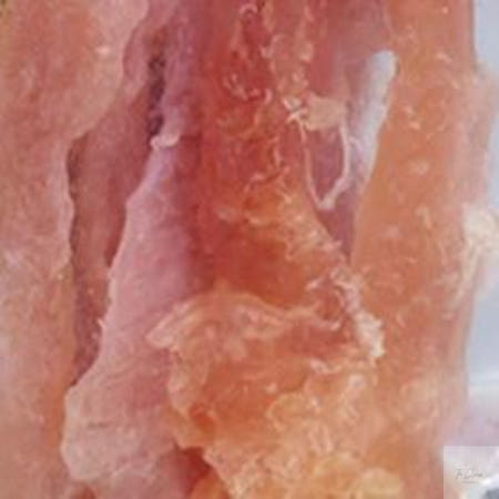 [THEJINJEONG]더진정 써니 블루오션 숯불양념 슬라이스 펫간식 강아지육포 오리육포 개간식