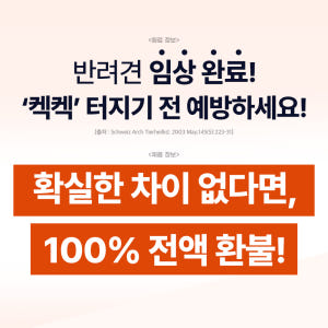닥터바이 강아지 기관지 영양제 호흡기 면역 기침 콧물 켁켁거림 이뮤가드,... 솔직 후기 | 실제 사용자 리뷰 총정리 - 상품 이미지 3