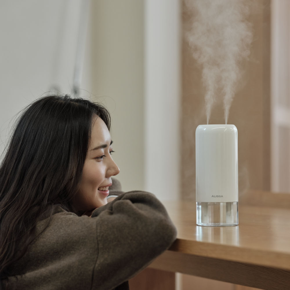 알리사 숲속안개 가습기 미니 초음파 사무용 무선 휴대용 탁상용 충전식 700ml+필터 4개
